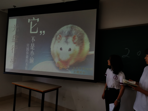 图片7